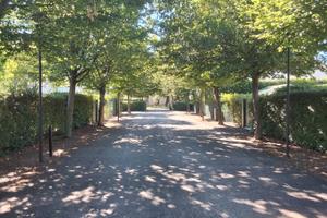 Porzione di bifamiliare ingresso giardino privato