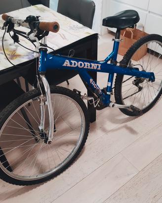 Mountain bike ragazzo Adorni cambio 7 marce 