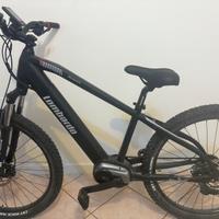 E-MTB