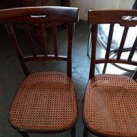 sedie thonet 