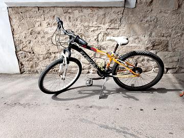 bicicletta 