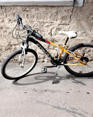 bicicletta 