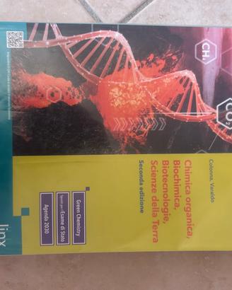 Libro 5º anno