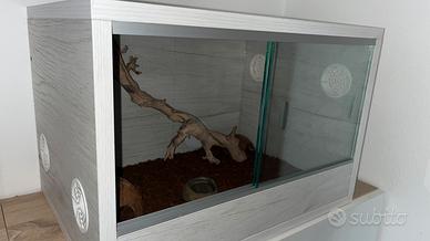 Teca per rettili