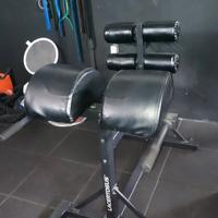 GHD Lacertosus 