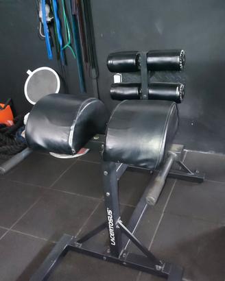 GHD Lacertosus 