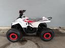 miniquad-profive-explorer-110-cc-8-12-anni