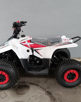 Miniquad Profive Explorer 110 cc 8-12 anni