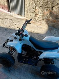 quad 110 cc profive