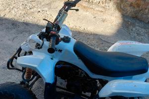 quad 110 cc profive