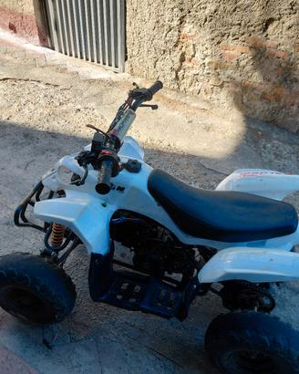 quad 110 cc profive