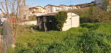 Terreno agricolo con capanno castelfiorentino
