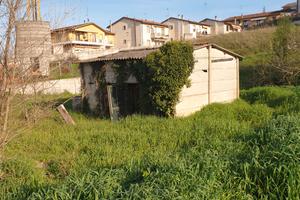 Terreno agricolo con capanno castelfiorentino