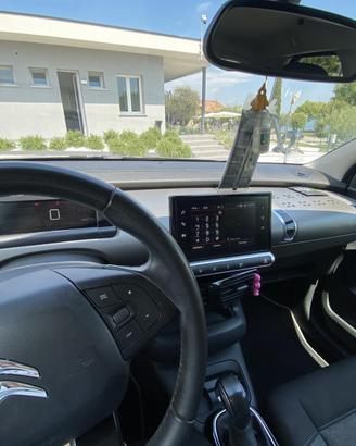 C4 Cactus S&S Shine