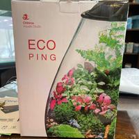 Vaso per terrario ECO PING