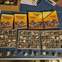 Collezione minerali e fossili con vassoi + fascico