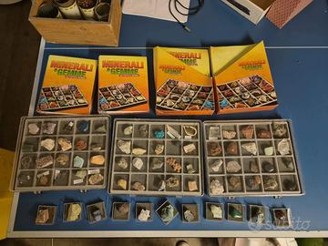 Collezione minerali e fossili con vassoi + fascico