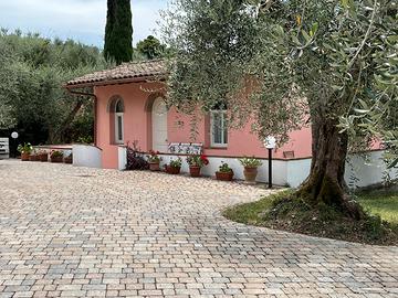 Rifugio tra gli olivi . Campagna Toscana