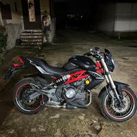 Benelli BN 302 - Black&Red - 2016