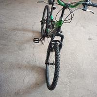 MTB Vicini 24