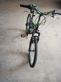 MTB Vicini 24