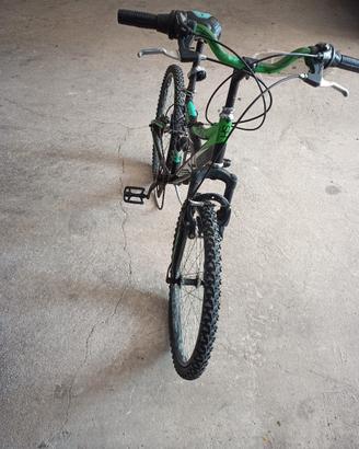 MTB Vicini 24