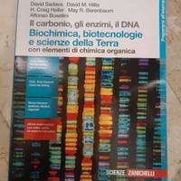 il carbonio, gli enzimi, il DNA