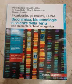 il carbonio, gli enzimi, il DNA