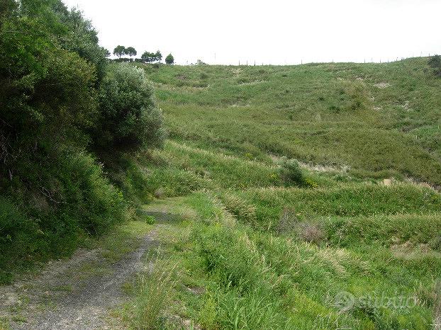 Terreno Commerciale e Agricolo Salita Larderia - Altro