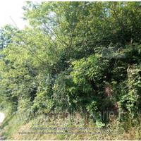 Terreno Agricolo Pianello Val Tidone [A4333386]