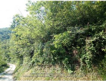 Terreno Agricolo Pianello Val Tidone [A4333386]