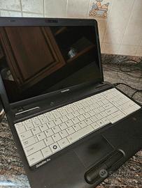 Portatile Toshiba 