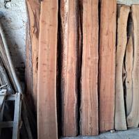 assi pino  è larice