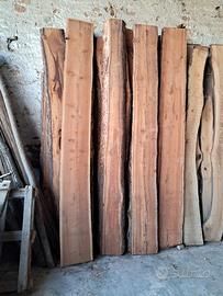 assi pino  è larice