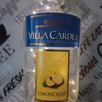 Bottiglia decorativa con luci LED – Stile rustico/