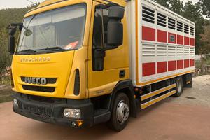 Iveco 75 16 trasporto animali