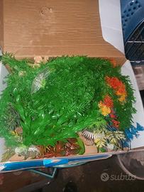 piantine acquario