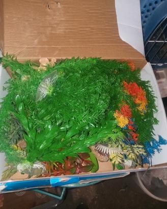 piantine acquario