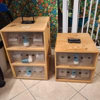 Trasportini per Uccelli