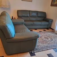 Coppia divani in pelle Chateau d'Ax verde bisco