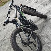 bici elettrica pedalata assistita 