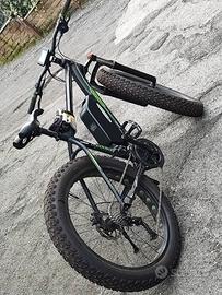 bici elettrica pedalata assistita 