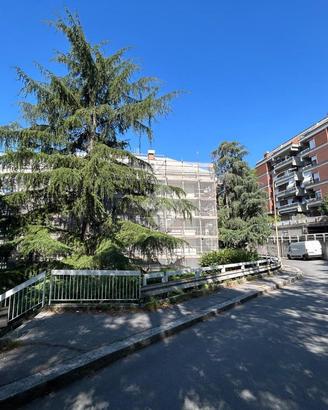 5 LOCALI A GENOVA