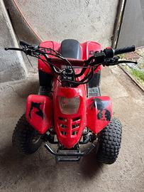 Altro Altro modello - 2015