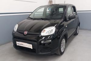 FIAT Panda III 2021 - Panda 1.0 firefly hybrid s&s