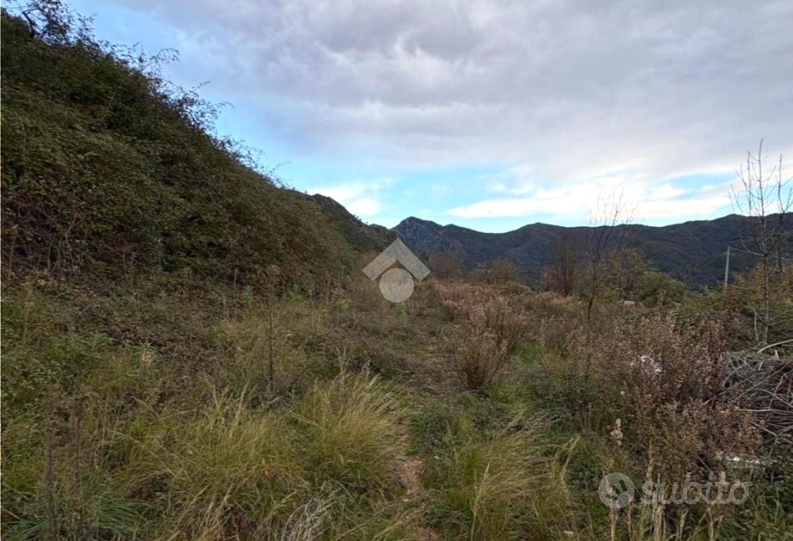 TER. AGRICOLO A VENTIMIGLIA - Altro