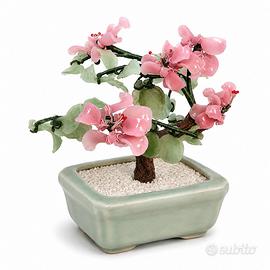 Alberello Bonsai Cinese Vintage 