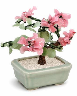 Alberello Bonsai Cinese Vintage 