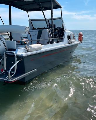 Pilotina Super Ulisse 600 + Honda 40cv