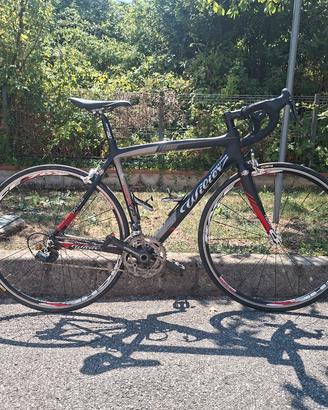bici corsa wilier carbonio